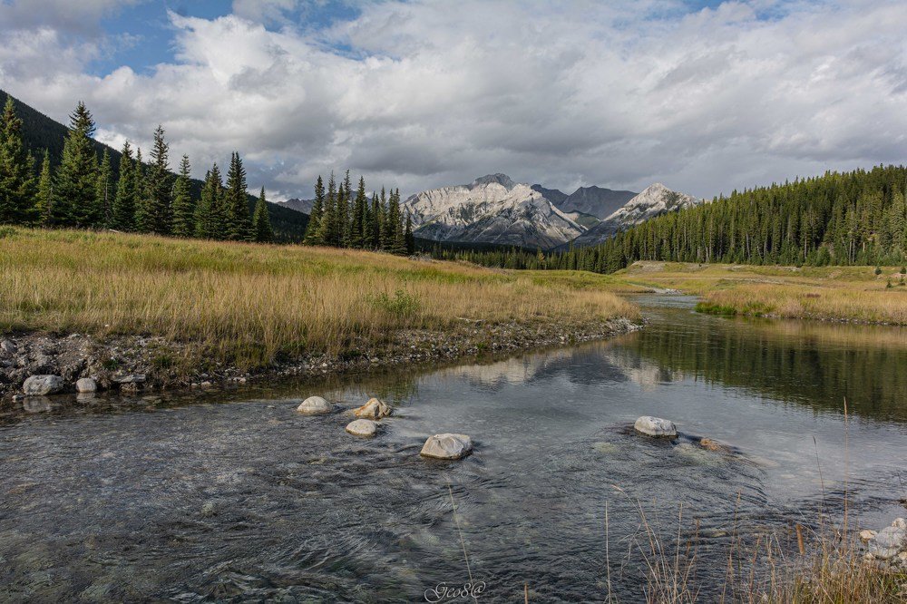 Photograph by Georgina Ochoa