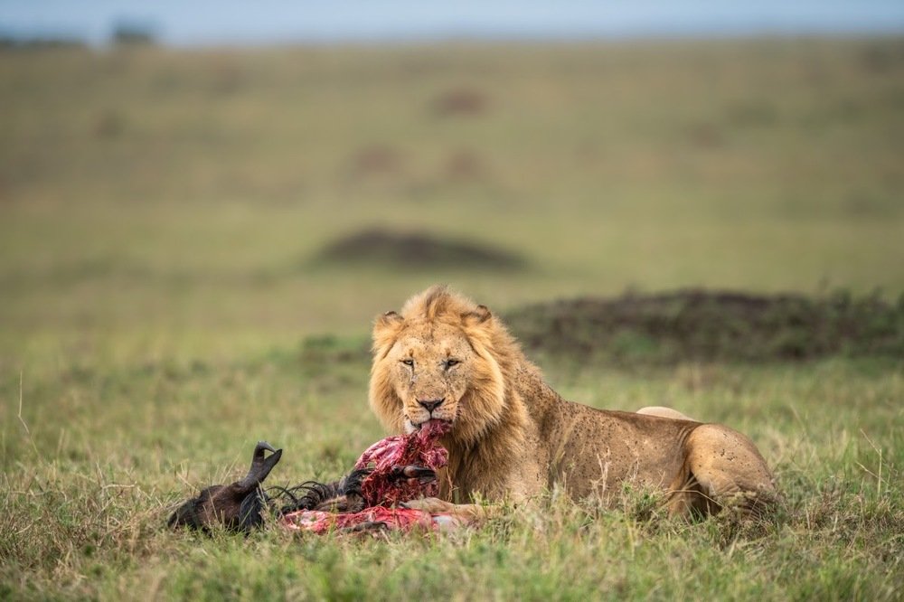 Photograph by Srikanth Santhinathan