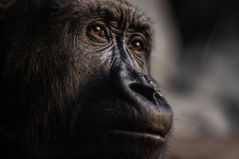 Photograph by Karim aboelghete