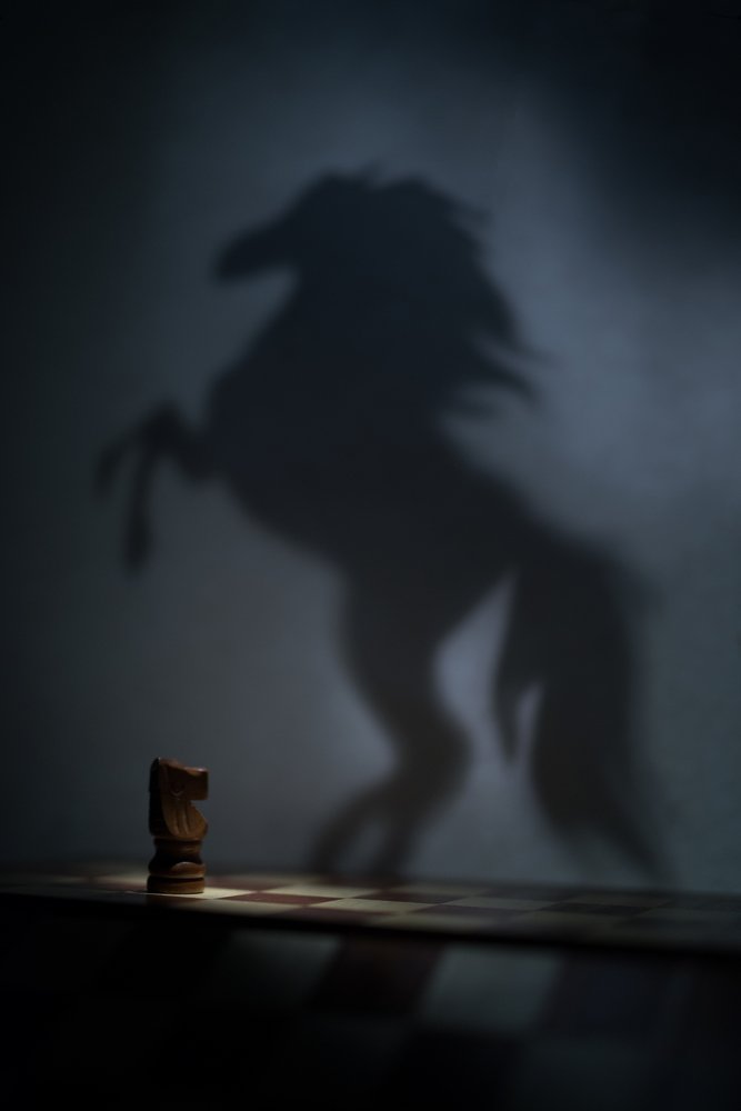 Photograph by Ася Легконогова