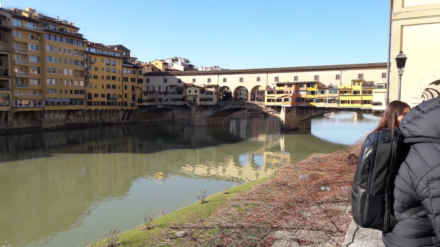 Photo #4241665