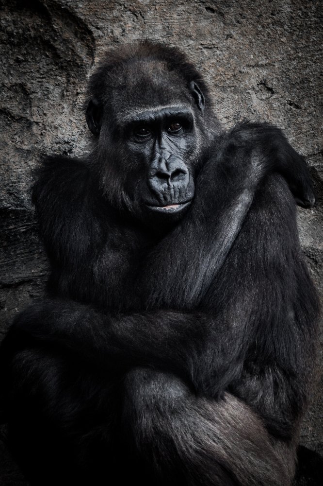 Photograph by Karim aboelghete