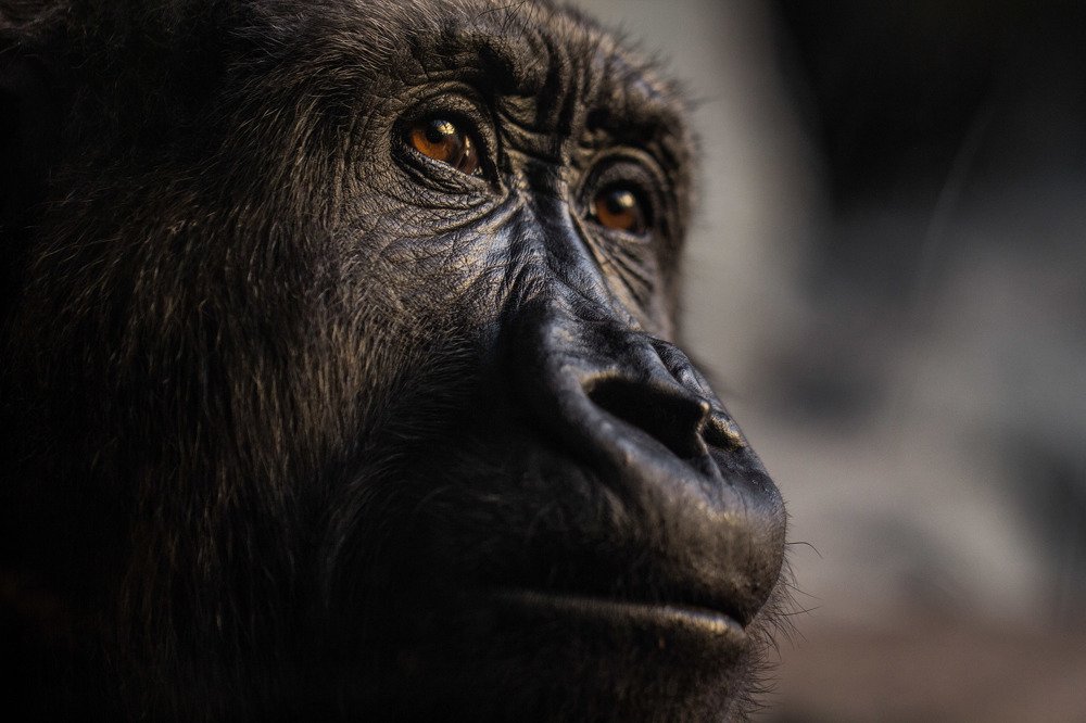 Photograph by Karim aboelghete