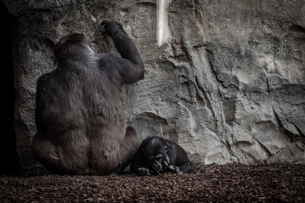 Photograph by Karim aboelghete