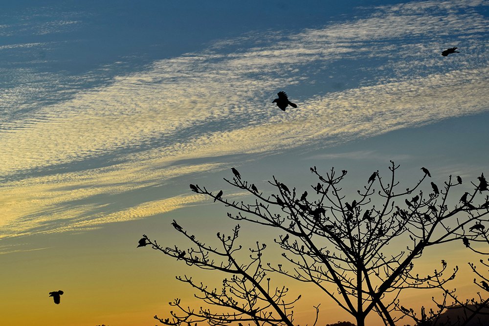 Photograph by Minouddin Chowdhury Mohammed