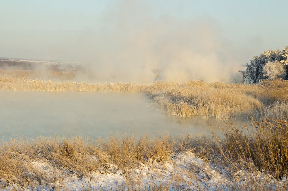 Photograph by Игорь Краснояров