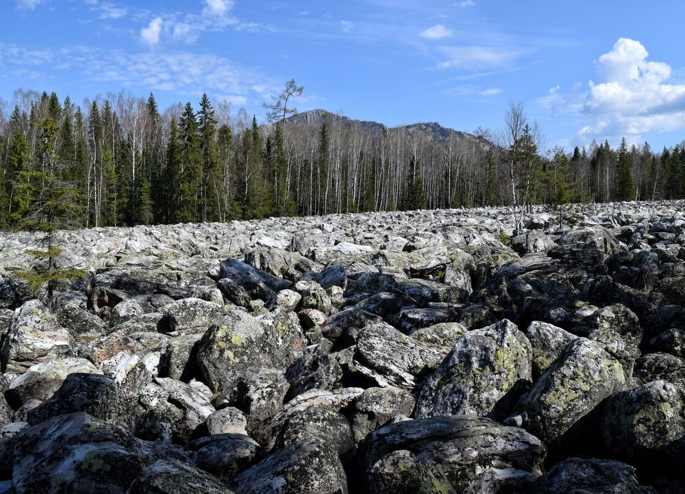 Среди камней