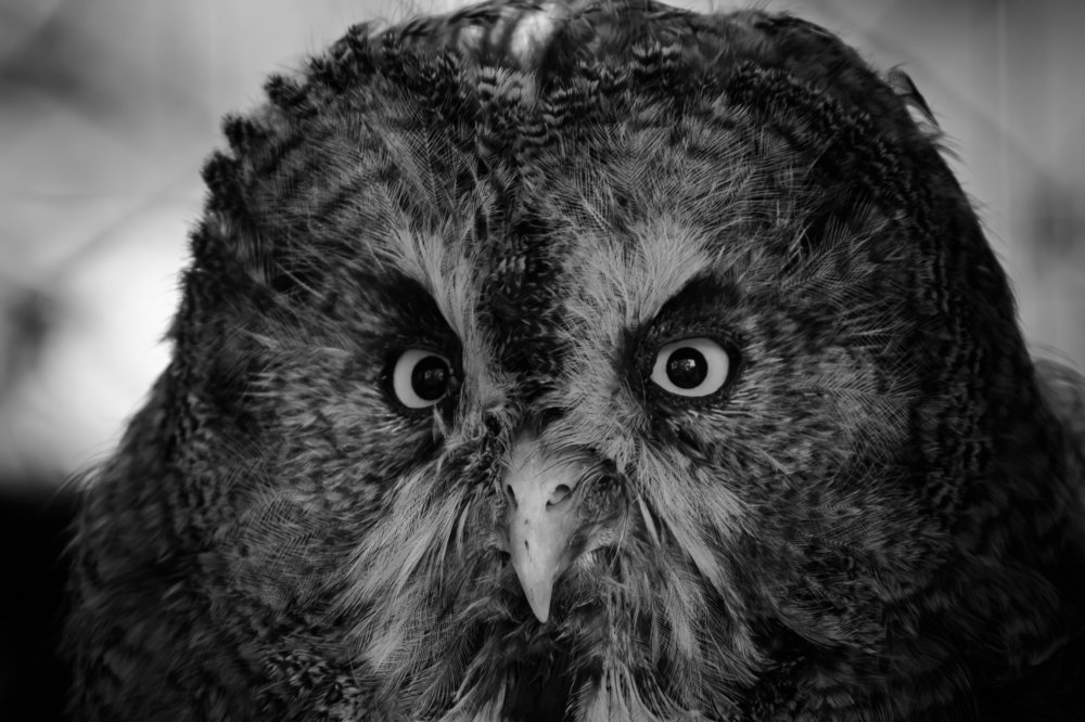 Photograph by Gaļina