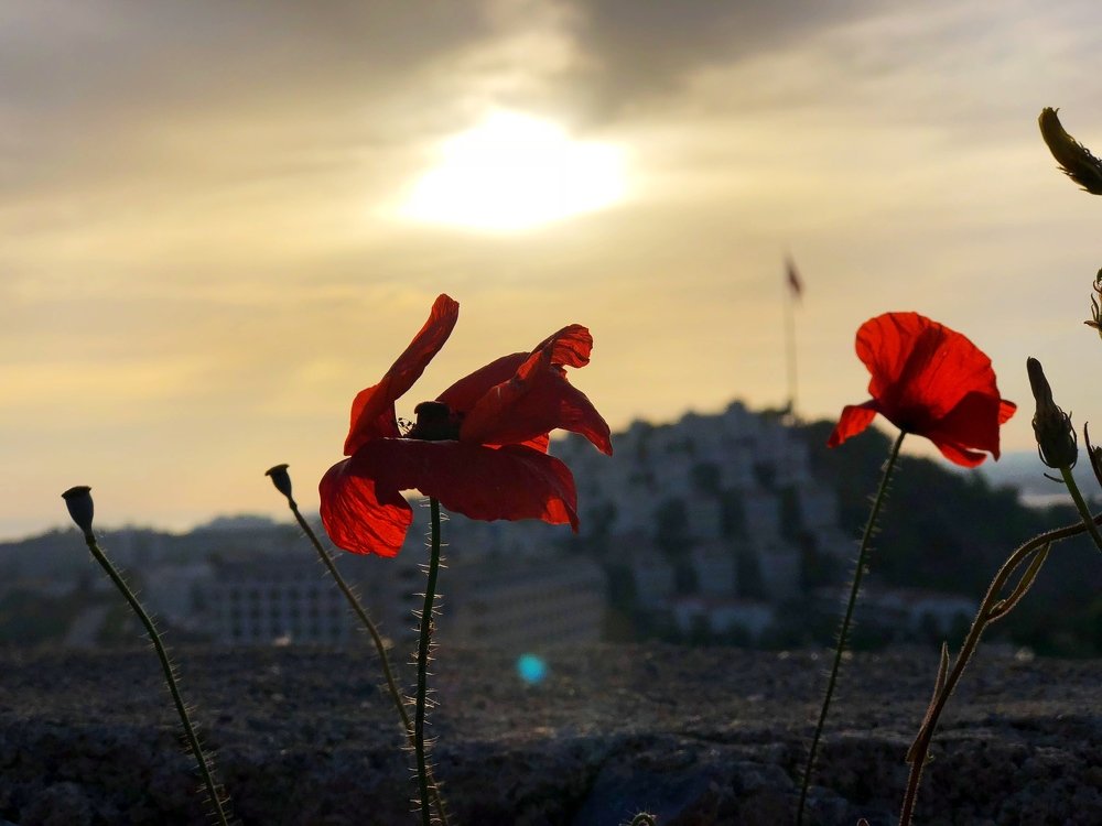 Photograph by Ильдус Шаруков