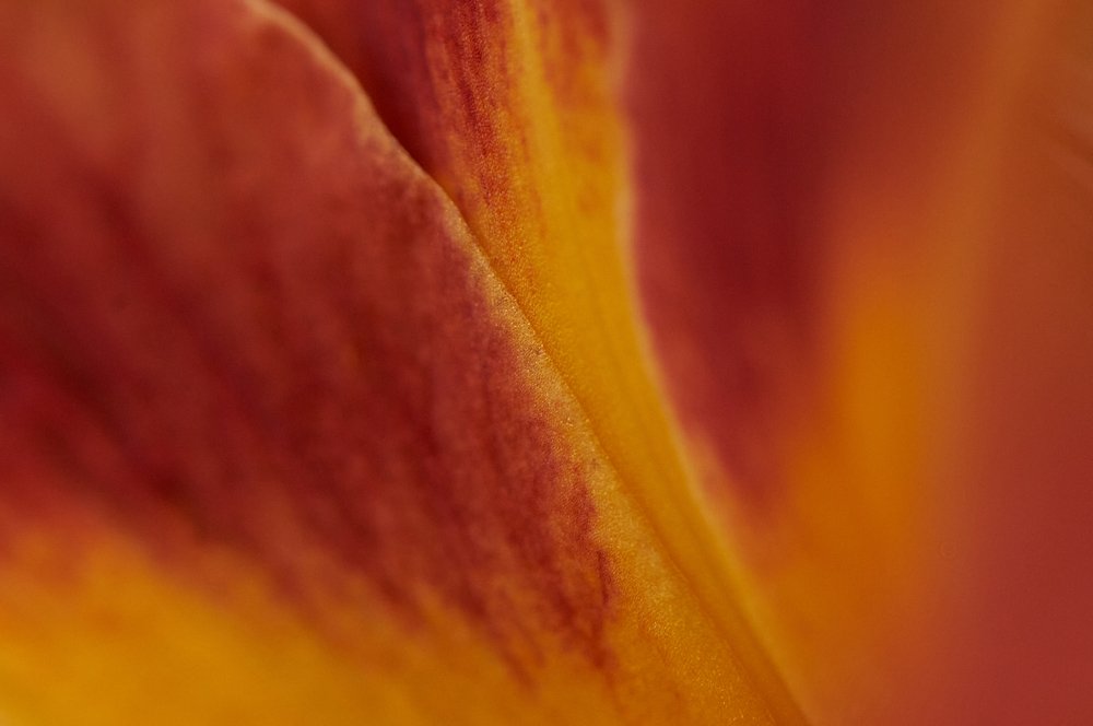 Фотография автора Святослав Романяк