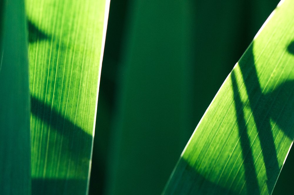 Фотография автора Святослав Романяк