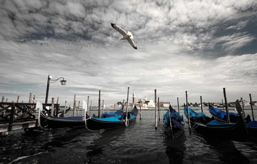 Photograph by Олег Абрашин