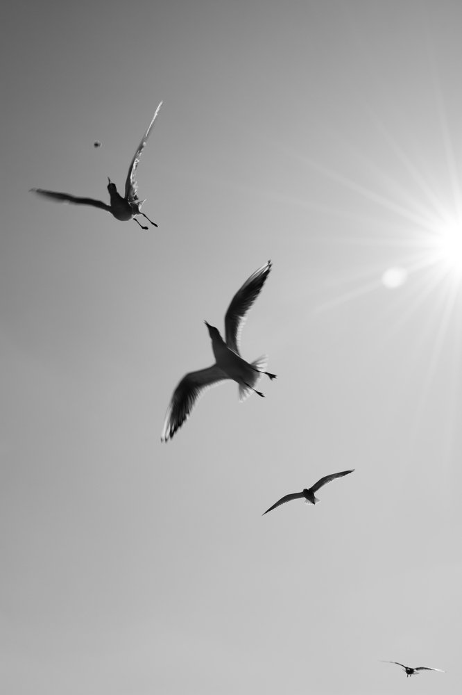 Photograph by Наталья Жук