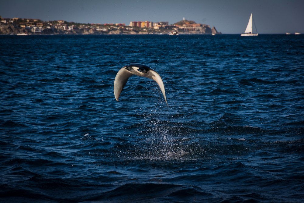 Photograph by Georgina Ochoa