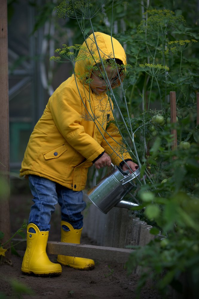 Photograph by Ольга Нечаева