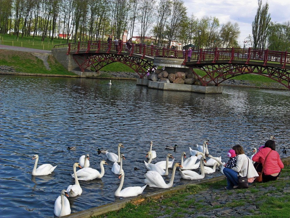 Photograph by Попова Наталья