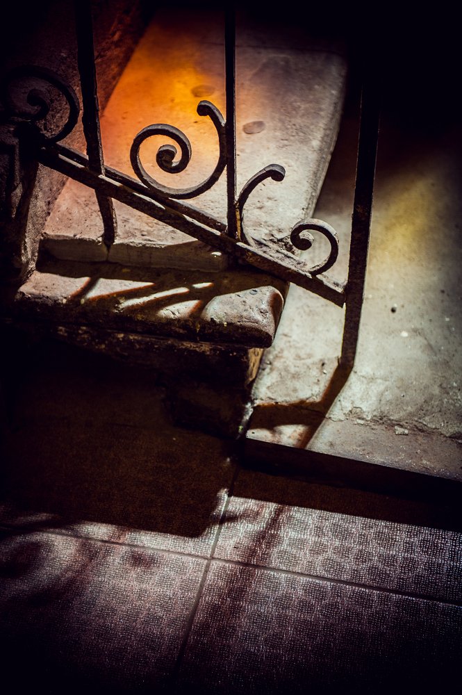 Photograph by Сафронова Любовь