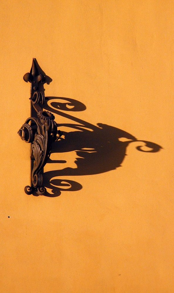 Photograph by Сафронова Любовь