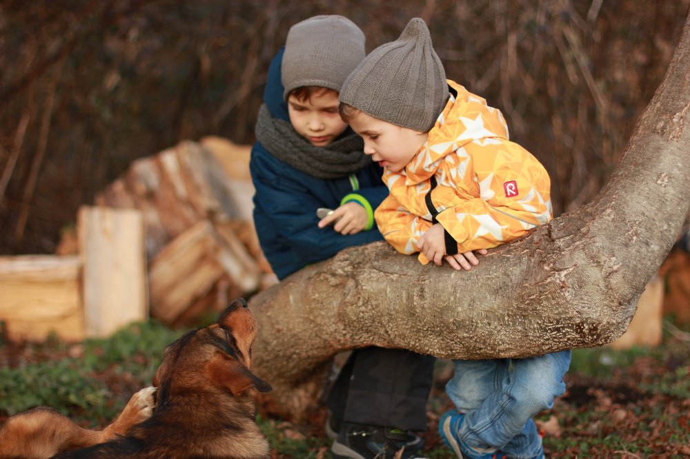 Photograph by Татьяна Зубарева