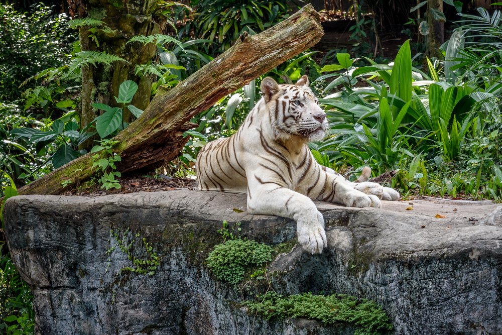 Photograph by Yan Razhkovetsky