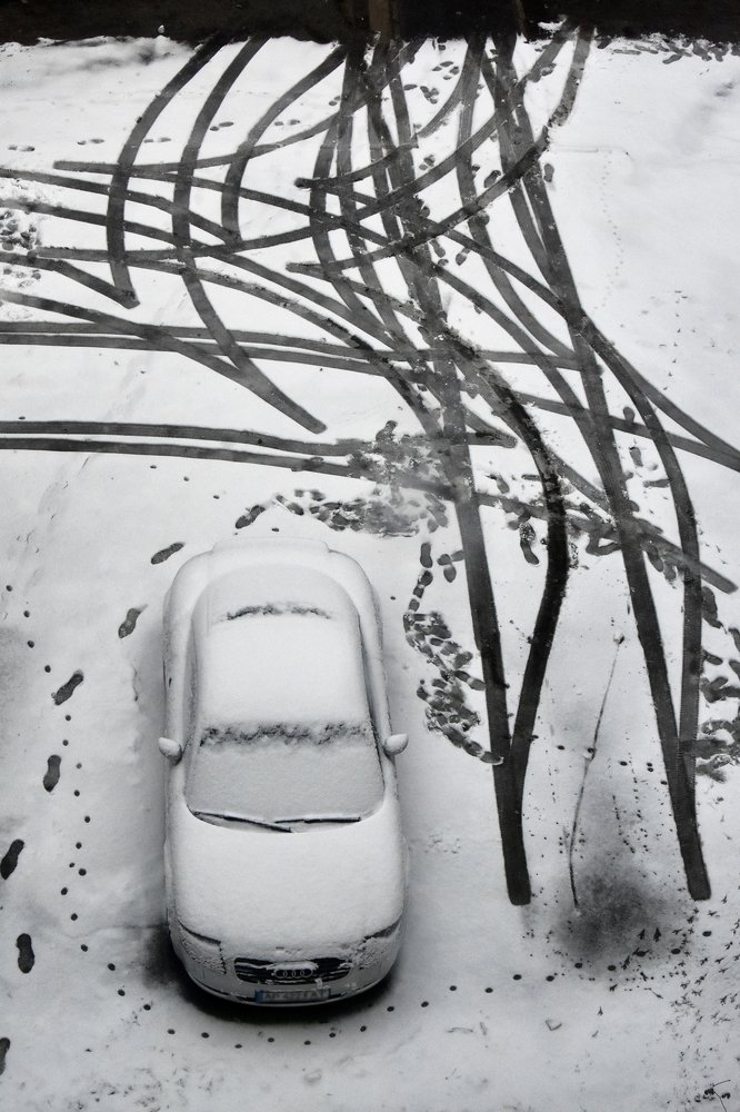 Photograph by Александр Максимов