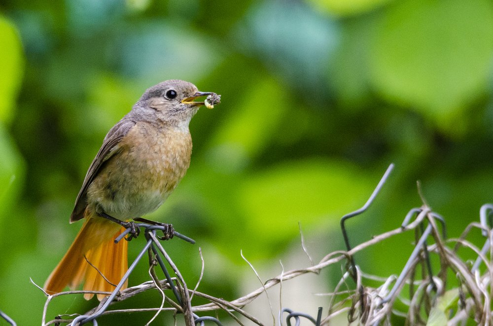Photograph by Виктор Плахотин