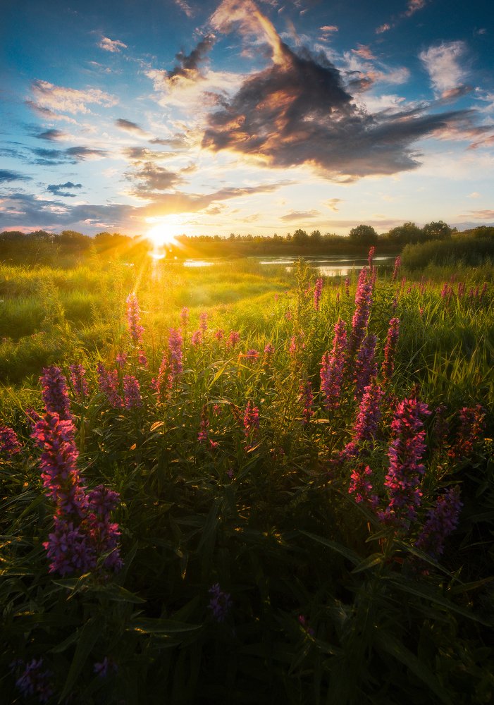 Фотография автора Кирилл Пчелинцев