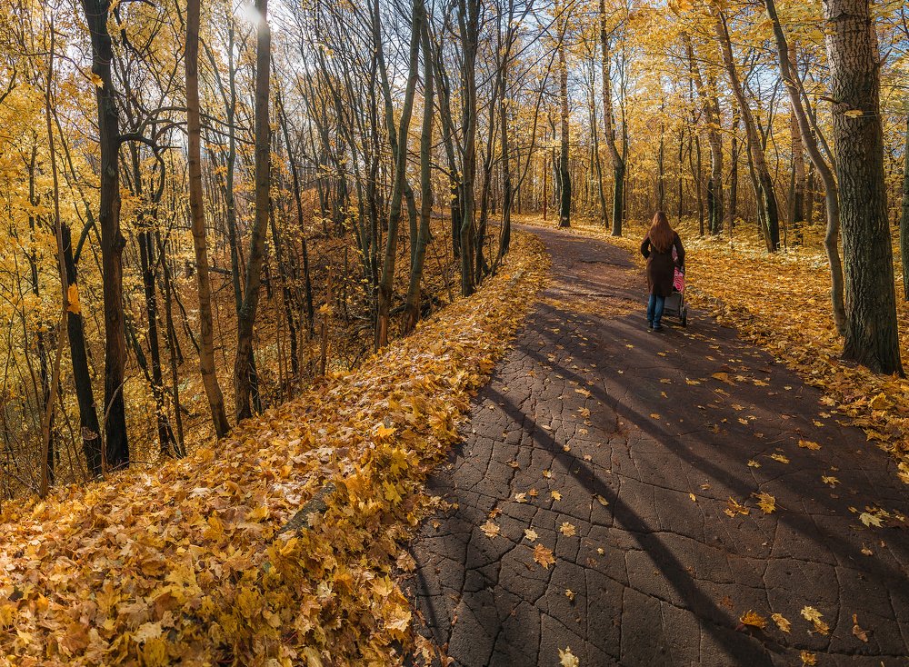 Photograph by Кирилл Огинов