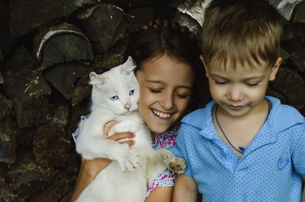 Photograph by Елена Годунова-Каевич