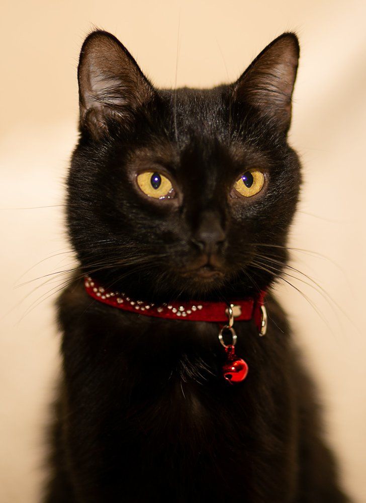 Фотография автора Ольга Матусевич