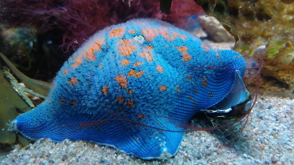 Photograph by Филиппов Олег