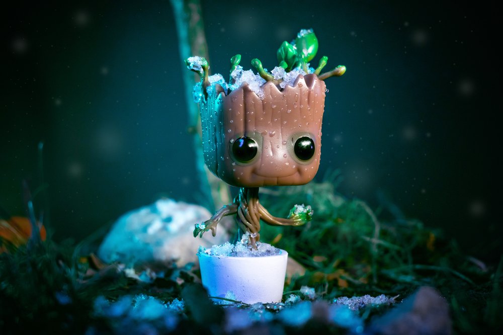 Photograph by anthony benavides