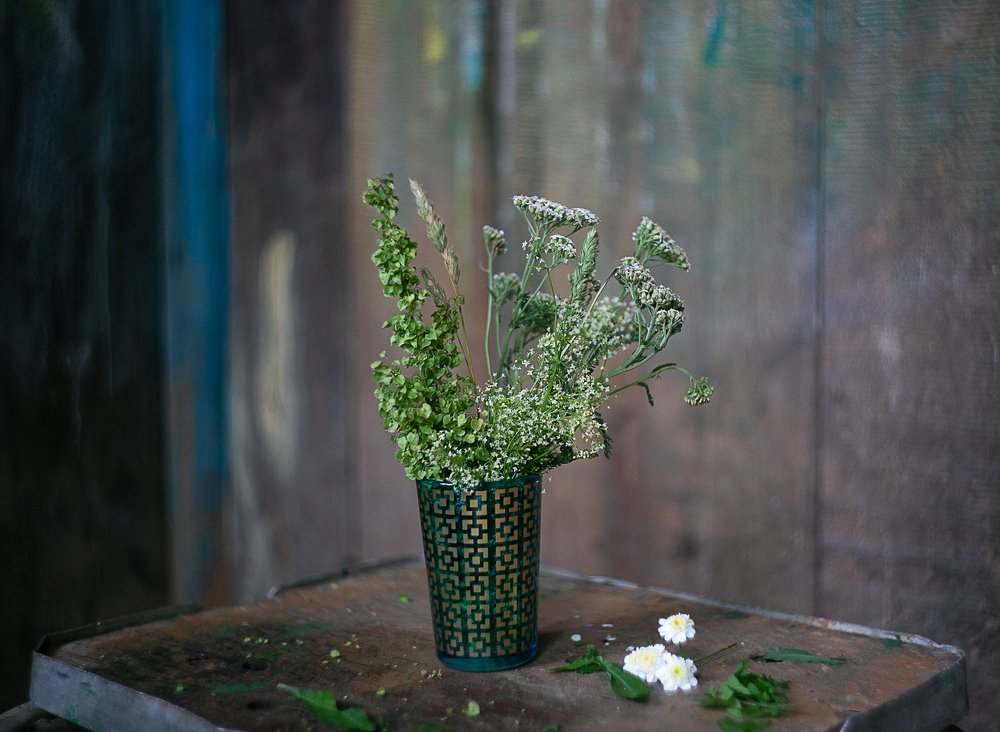 Фотография автора Ольга Матусевич