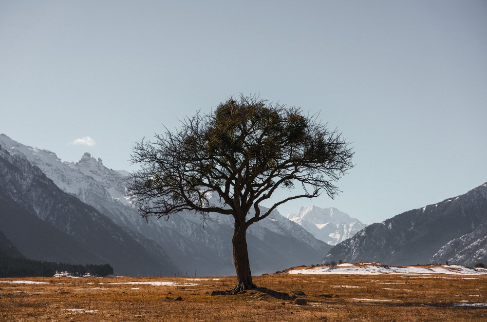 Photograph by Сулим Кудусов