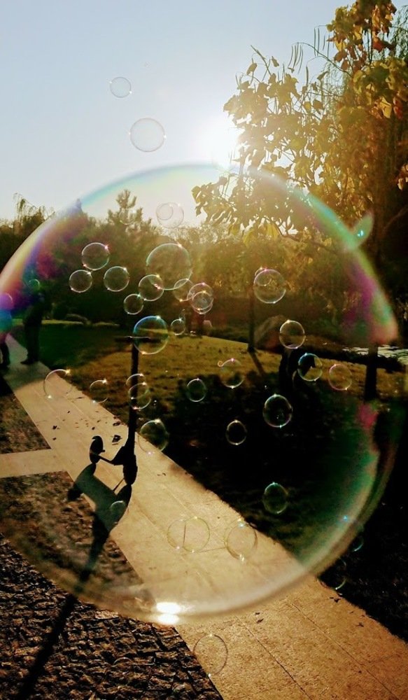 Фотография автора Max Evstafyev