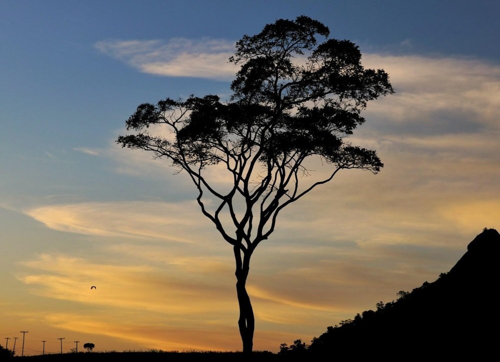 Photograph by João Vitor Caetano