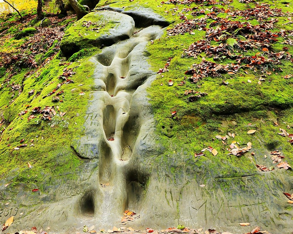 Photograph by Олег Башкуров