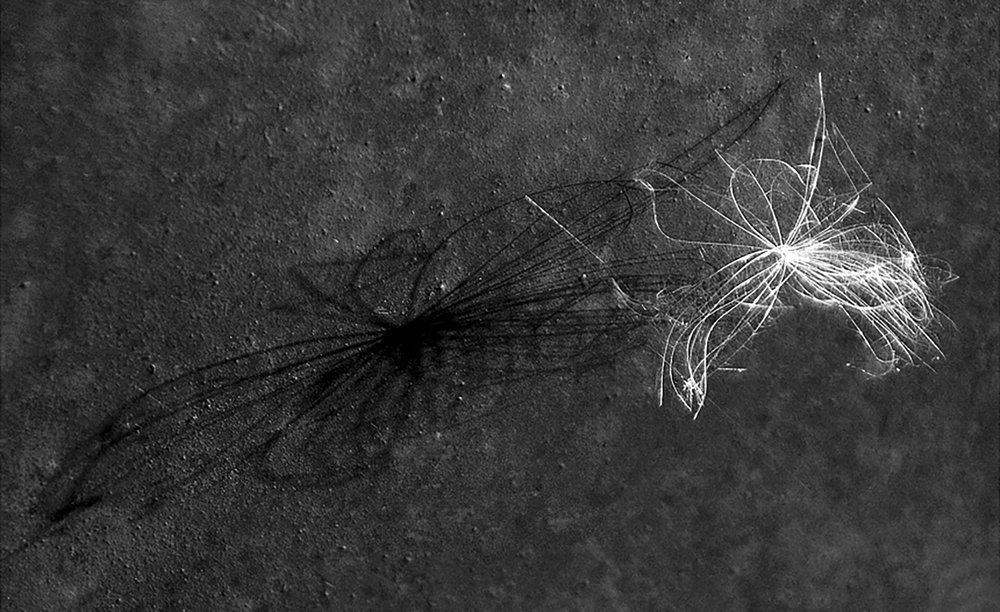 Photograph by Марина Изман