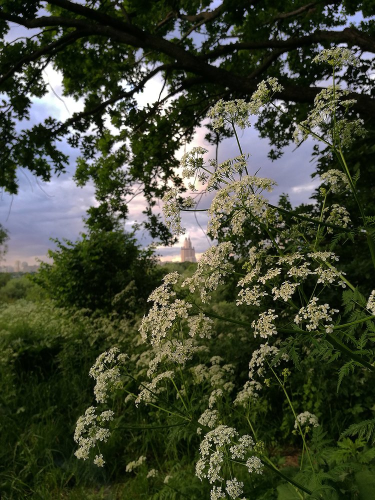 Photograph by Миллена Неро