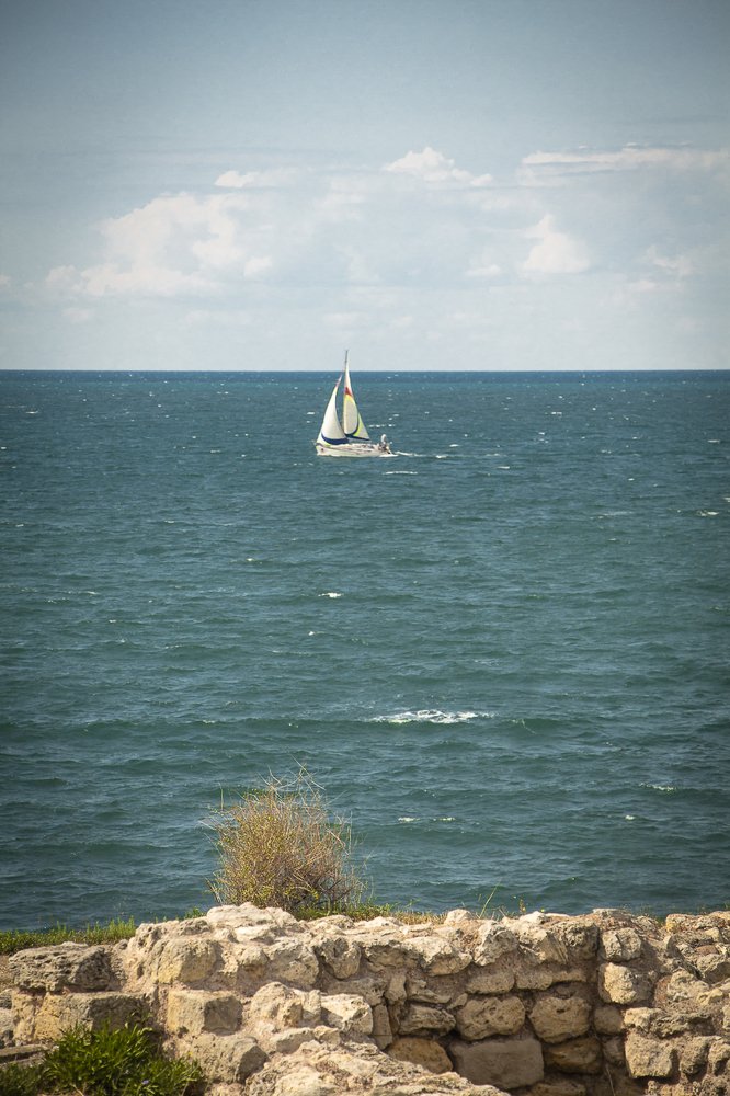 Фотография автора Светлана Котлярова