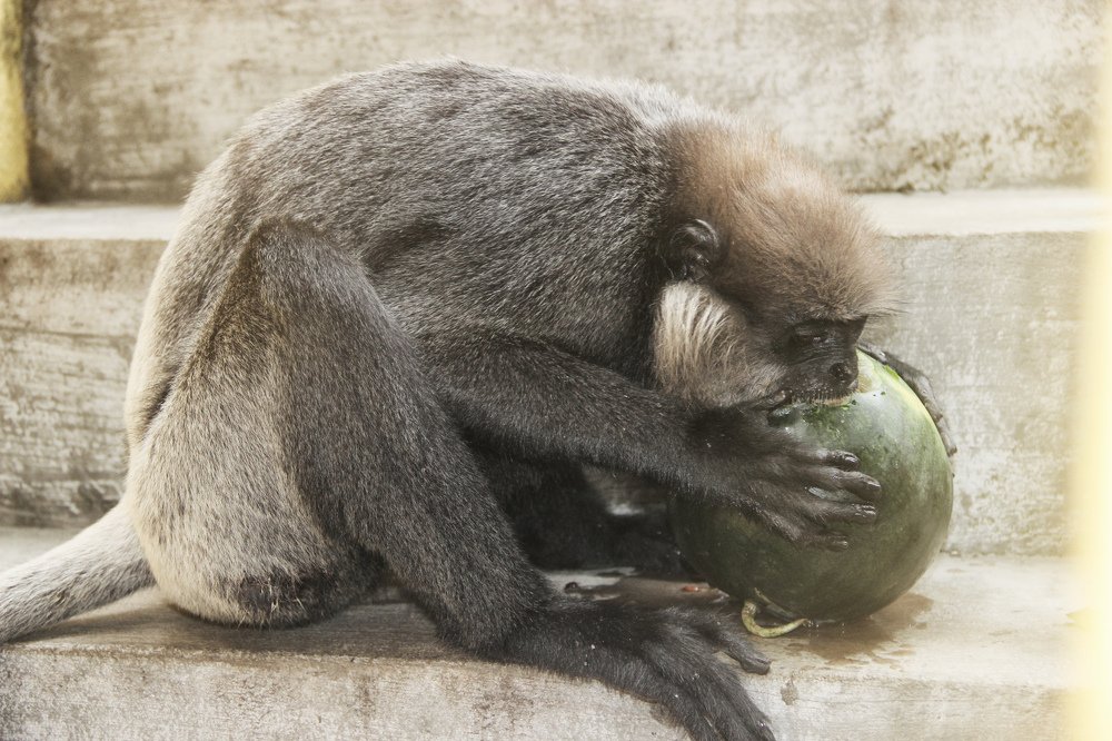 Фотография автора Надежда Саблина