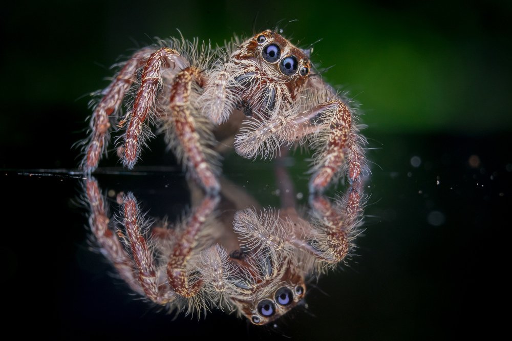 Photograph by achmad kamal kamal