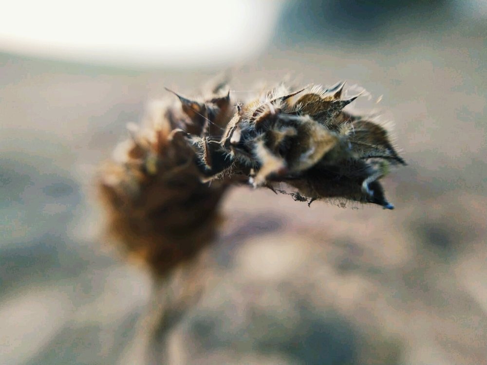 Photograph by Angel David