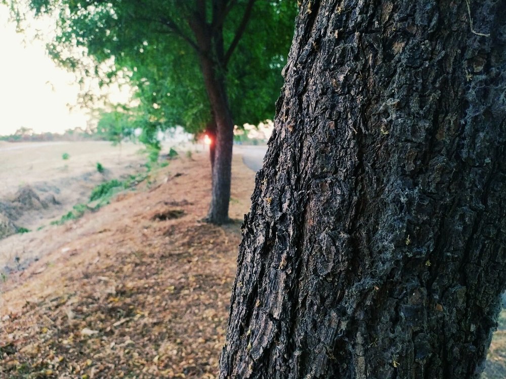 Photograph by Angel David