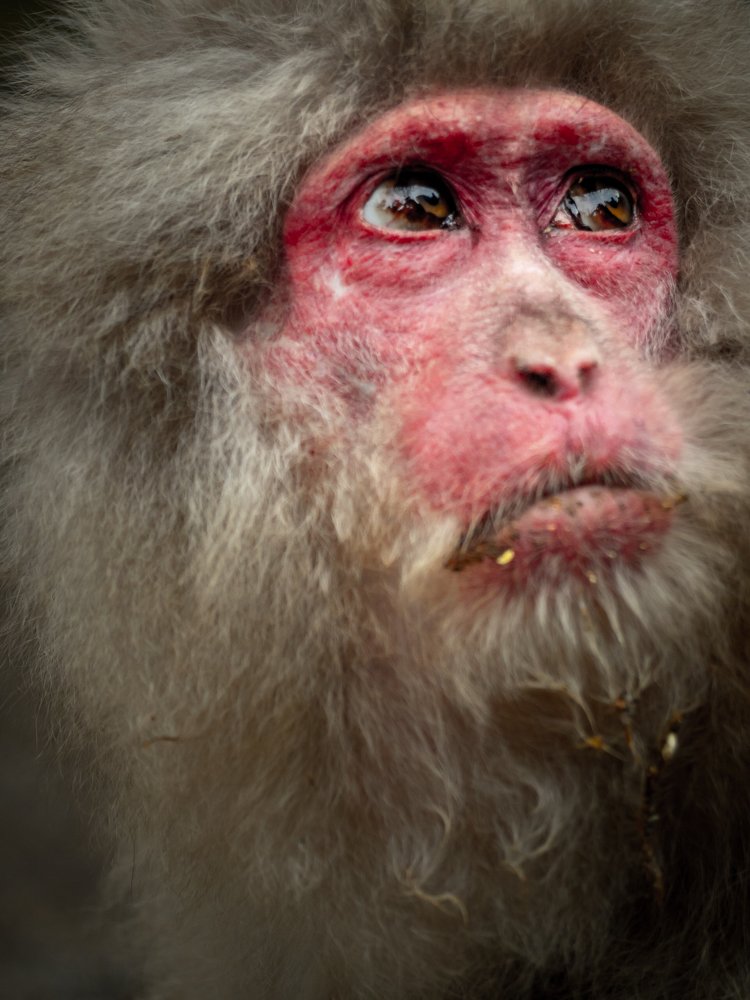 Photograph by David Wigg