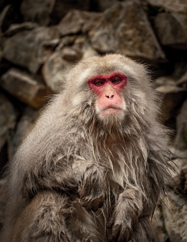 Photograph by David Wigg