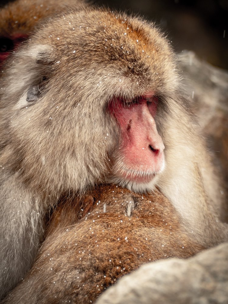 Photograph by David Wigg