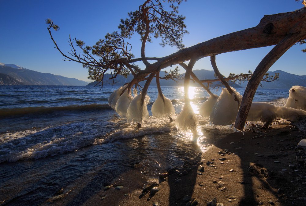 Полдень Телецкого озера. Поклонная Сосна.