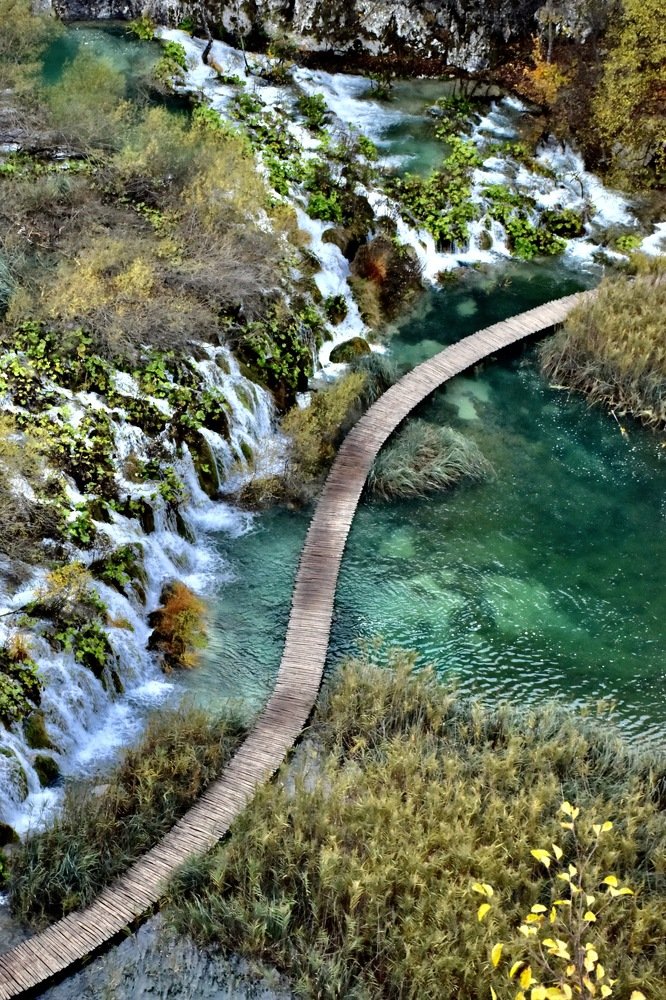 Photograph by Will Kwok