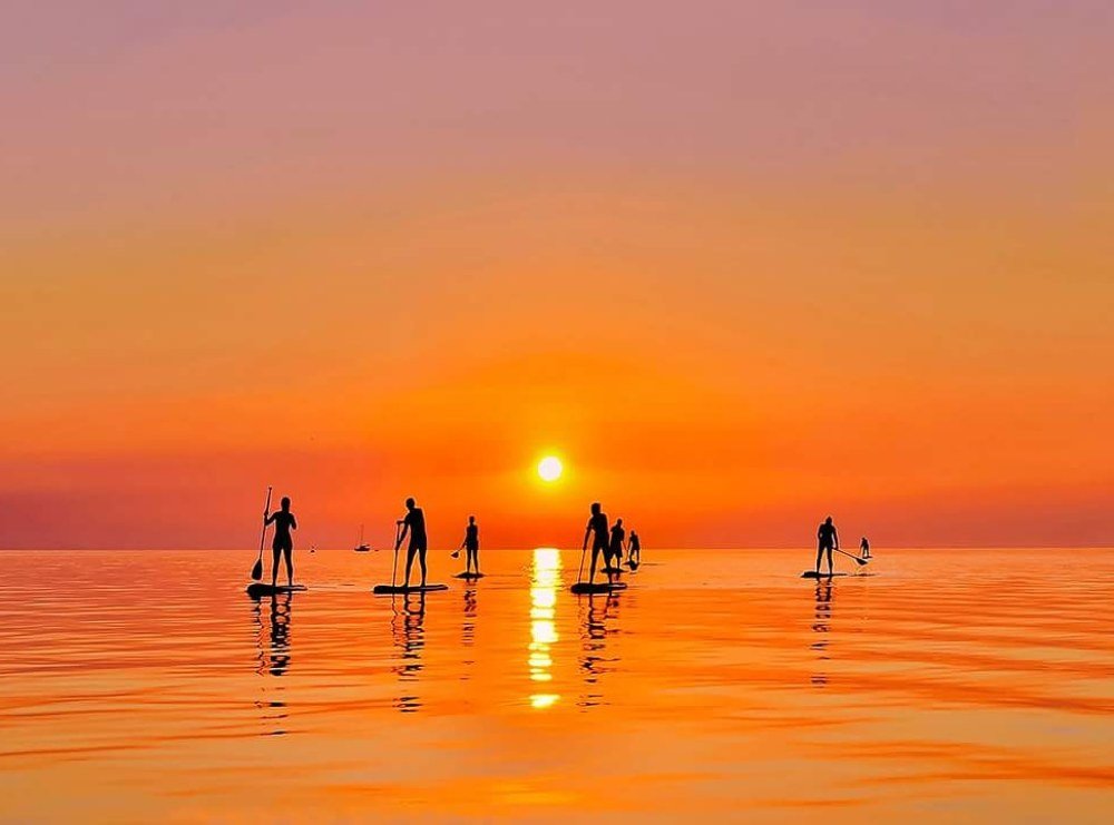 Stand up paddle.
